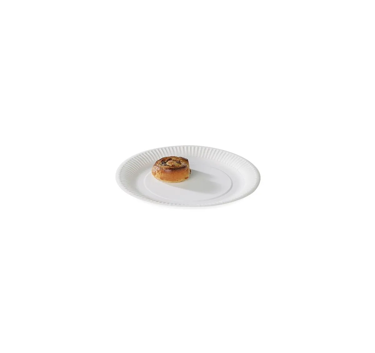 100 Assiettes Plate Carton ø230mm