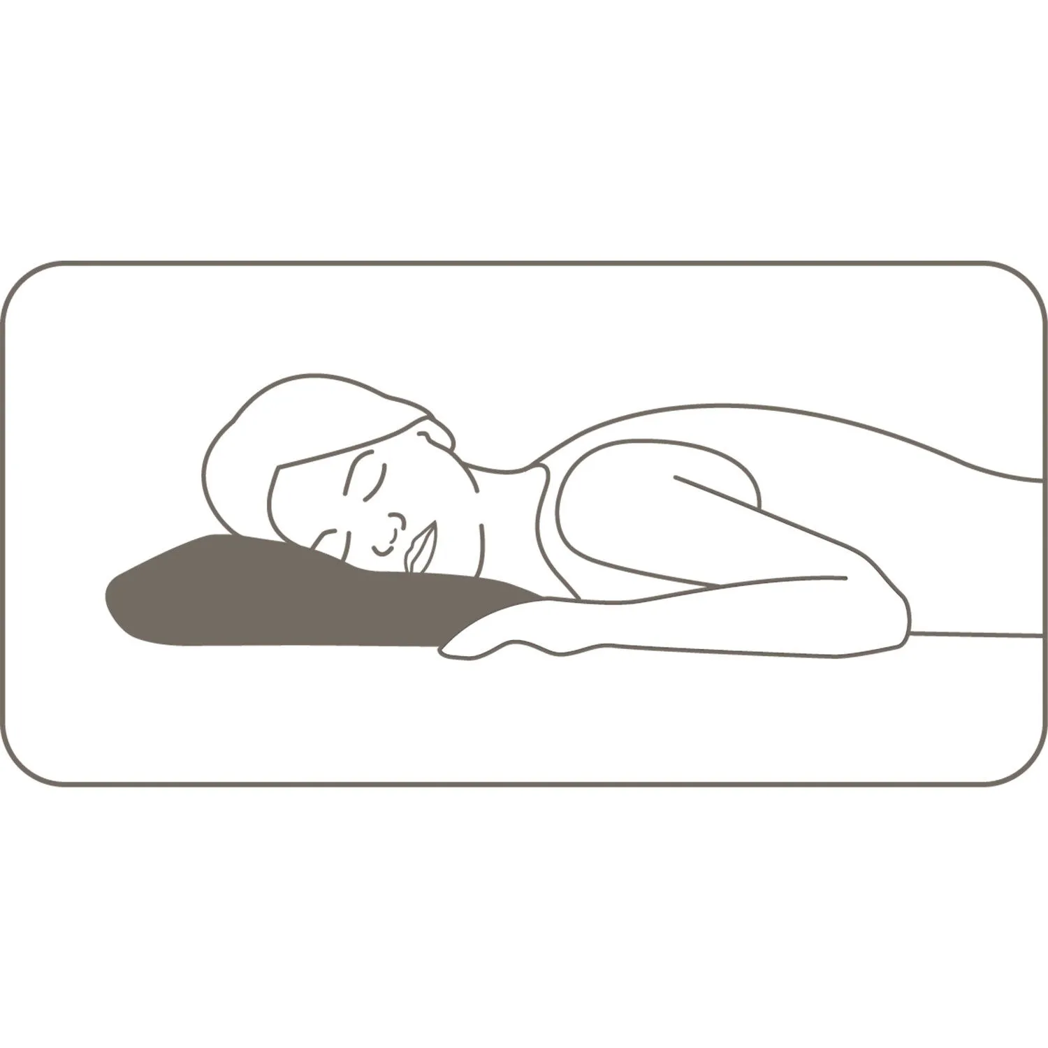 Oreiller Plima Soft ⋆ Lehner Versand
